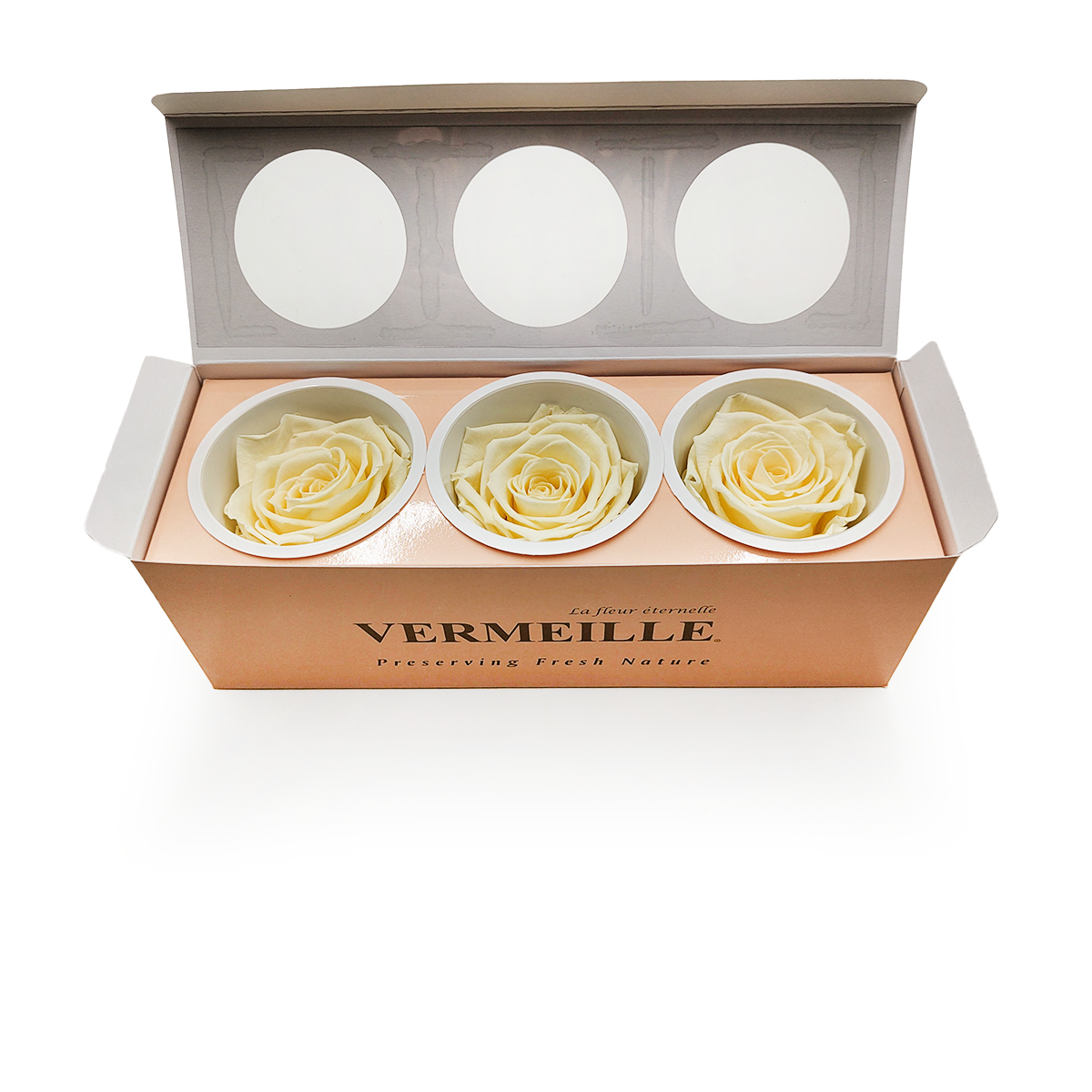 Stabilisierte Rose - Pastellgelb - XL - 3 Stk
