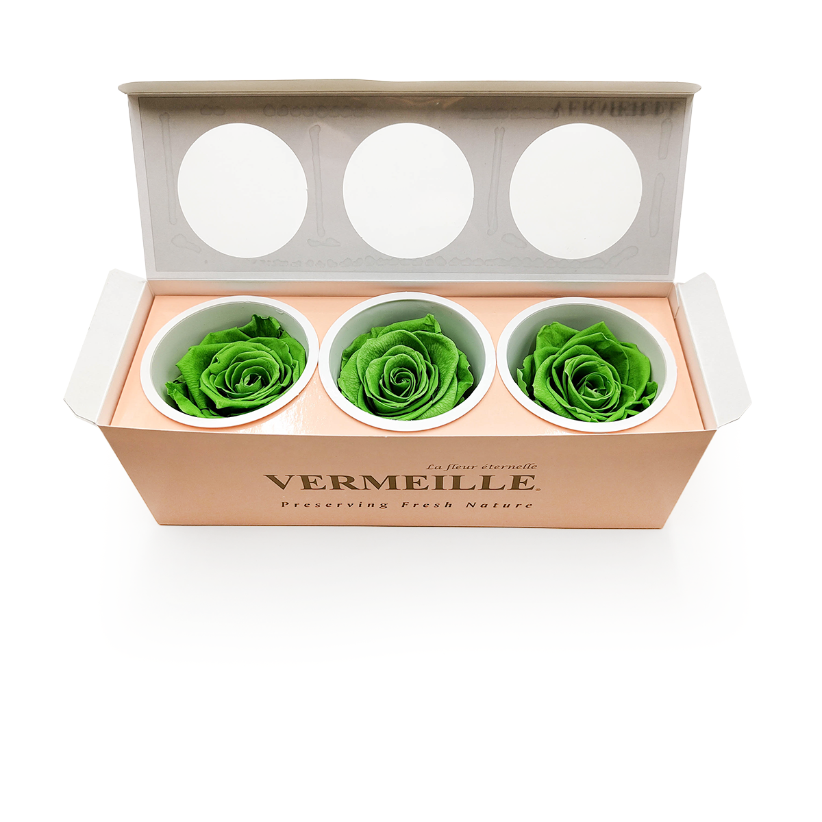 Stabilisierte Rose - Prairie Green - XL - 3 Stk