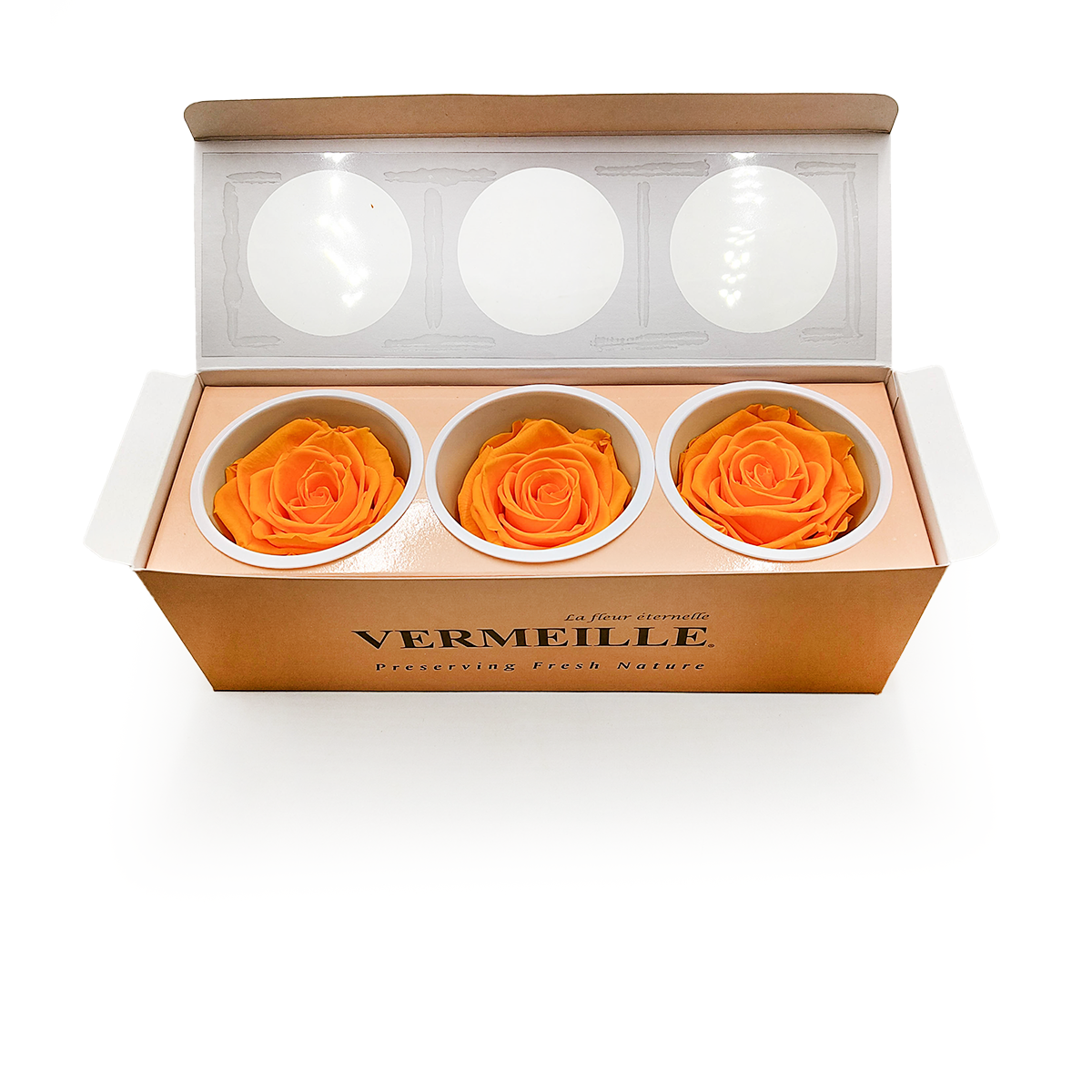 Stabilisierte Rose - Safrangelb - XL - 3 Stk