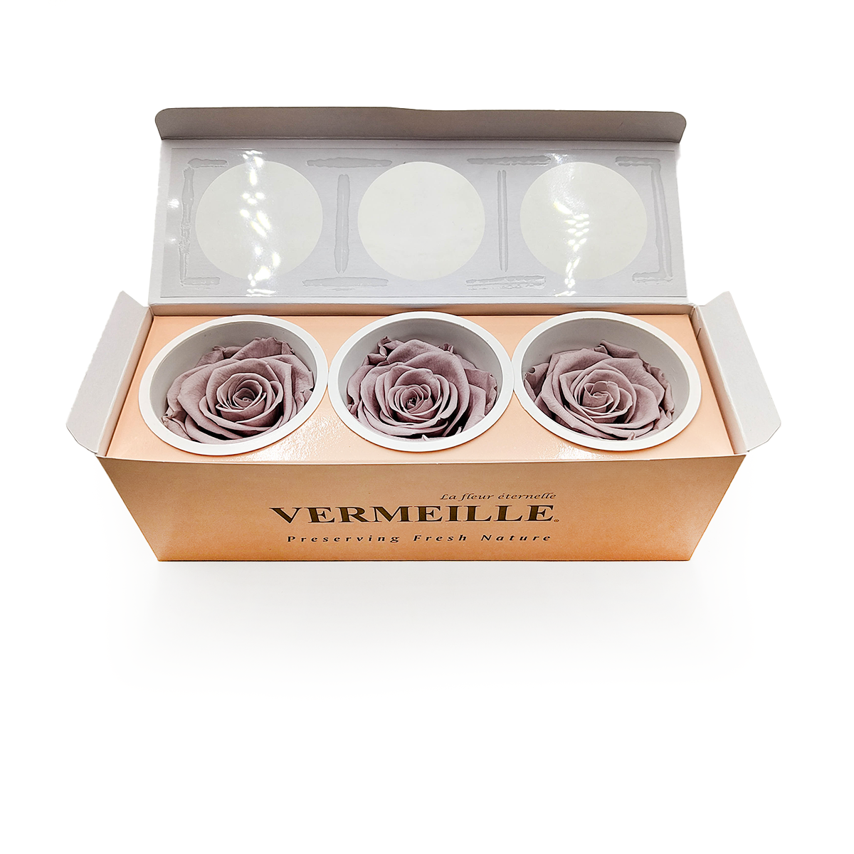 Stabilisierte Rose - Sandbeige - XL - 3 Stk