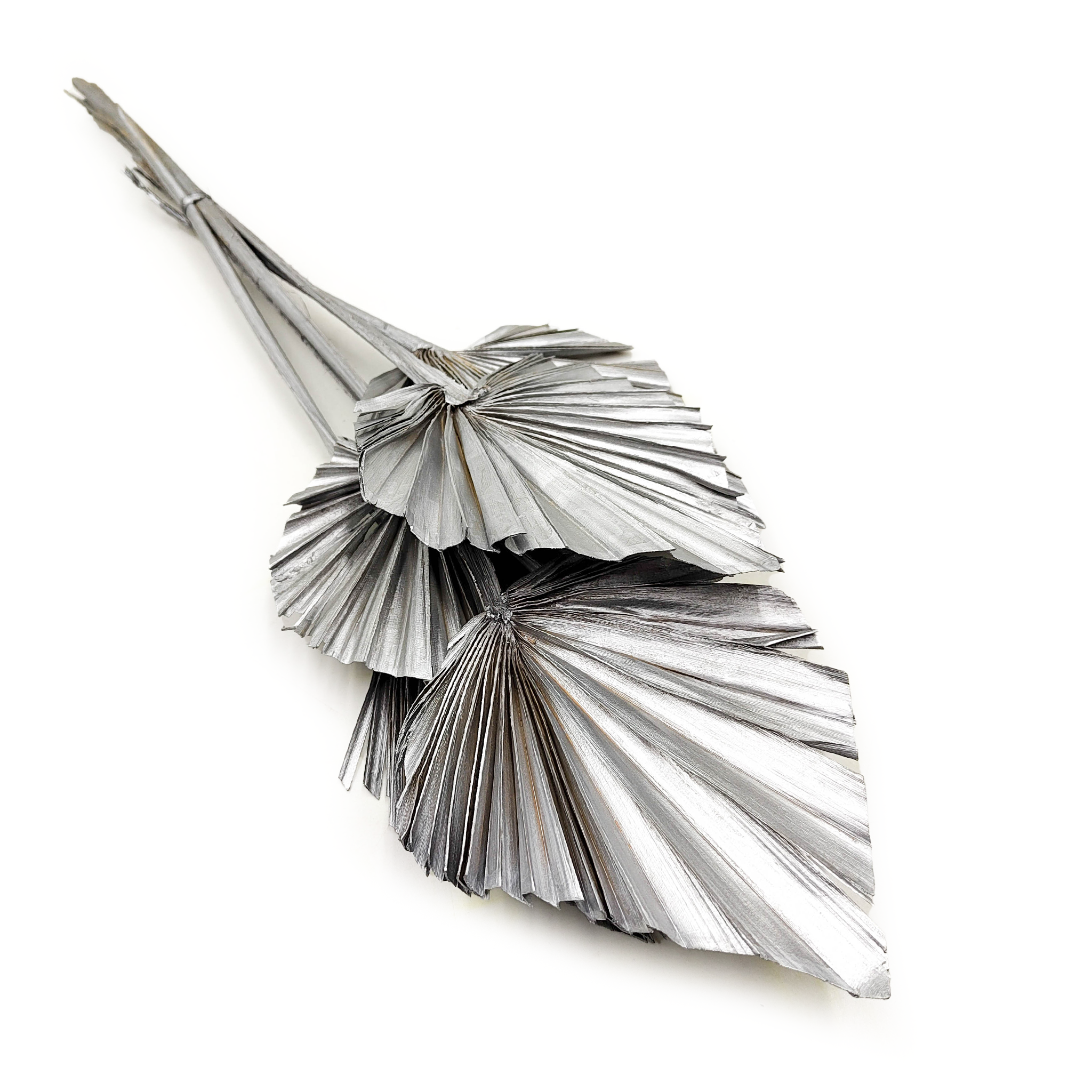 Palmenspeer Getrocknete - (Palm Spear) - Silber