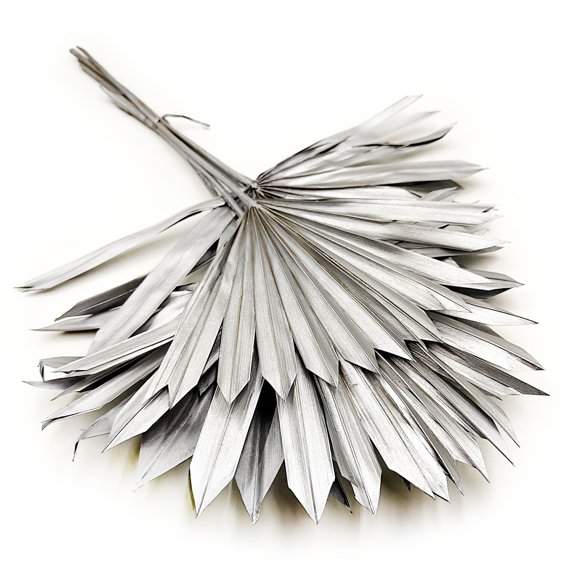 Palmsonne Getrocknete - (Palm Sun) - Silber