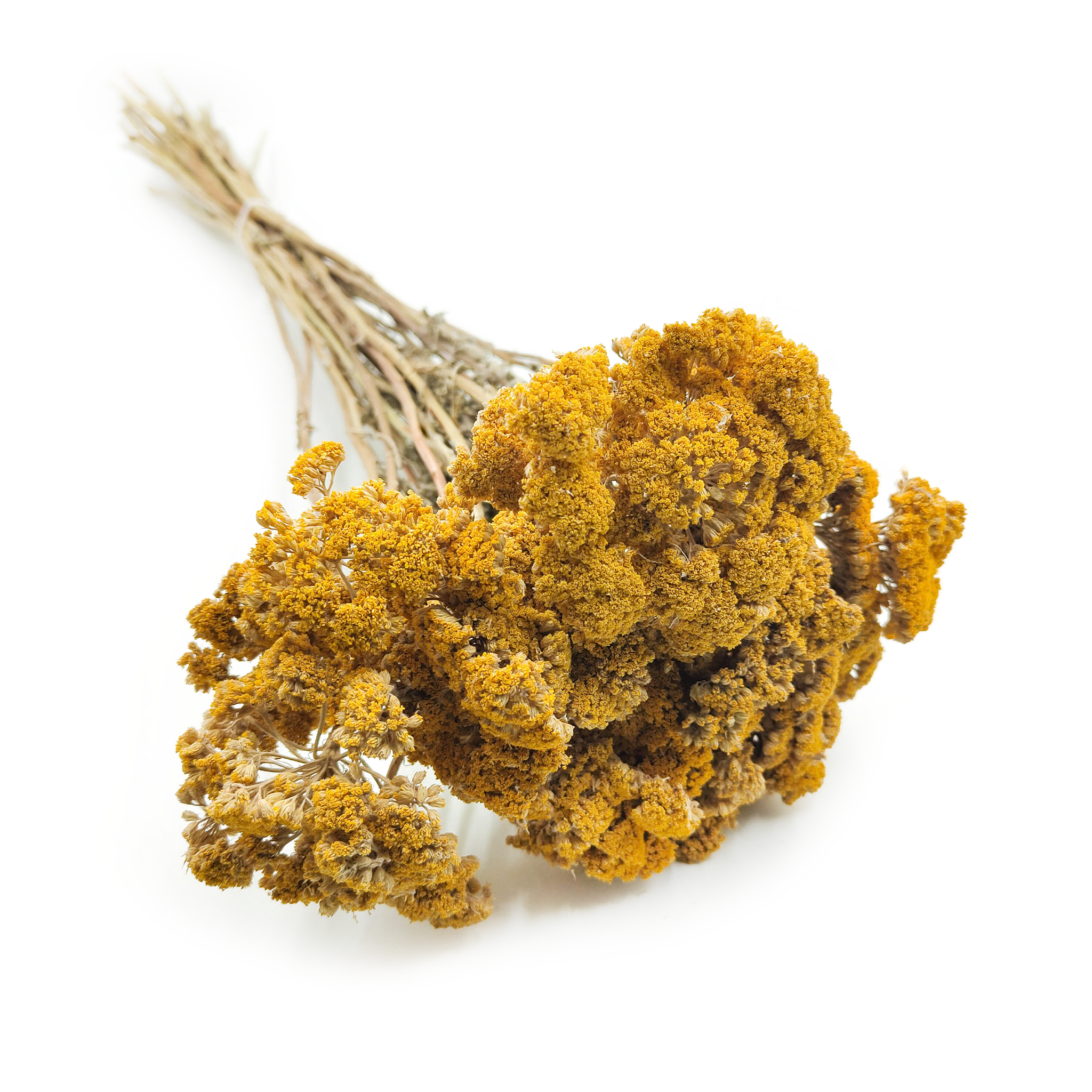 Schafgarbe Getrocknete - (Achillea) - Gelb