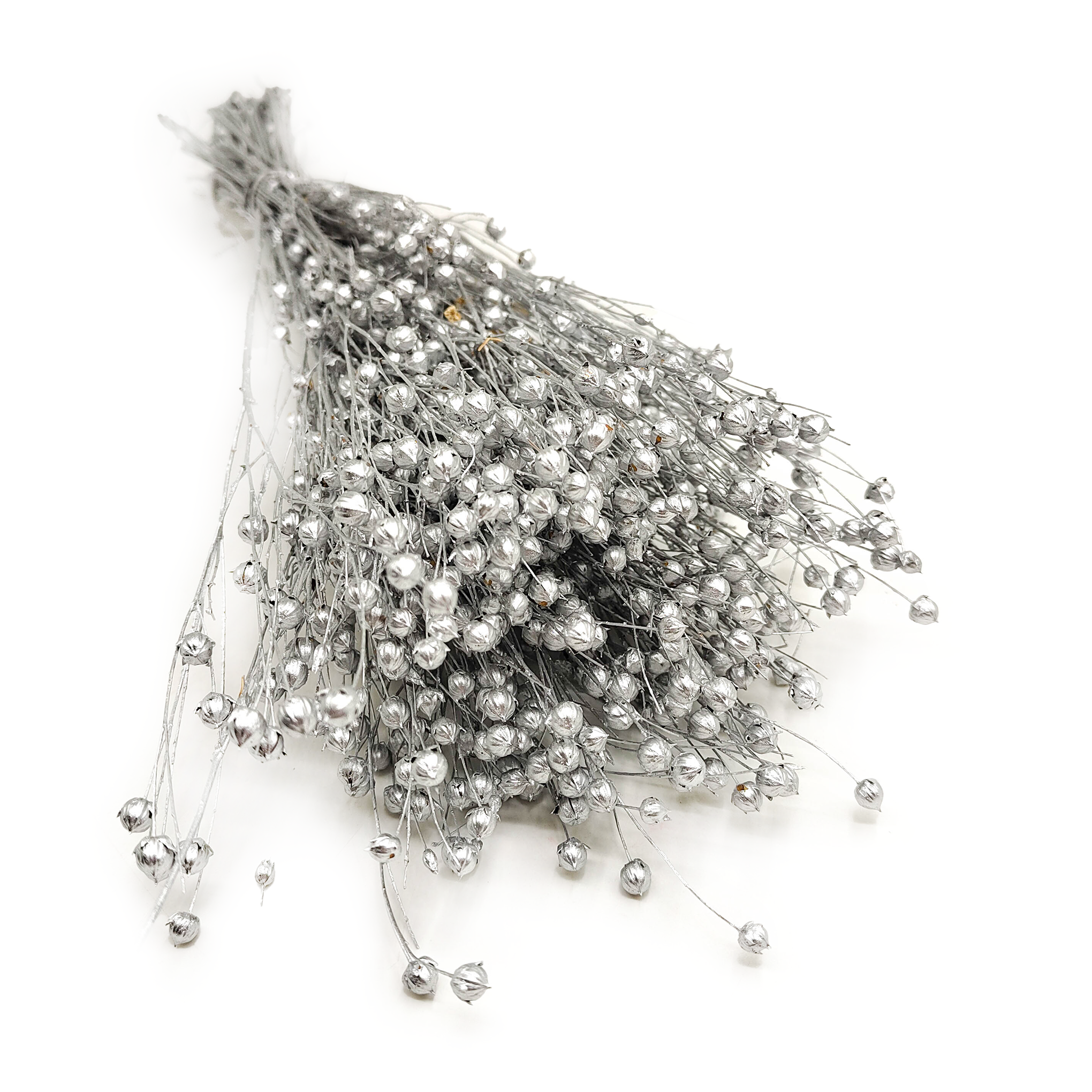 Flachs Getrocknete - (Leinen) - Silber