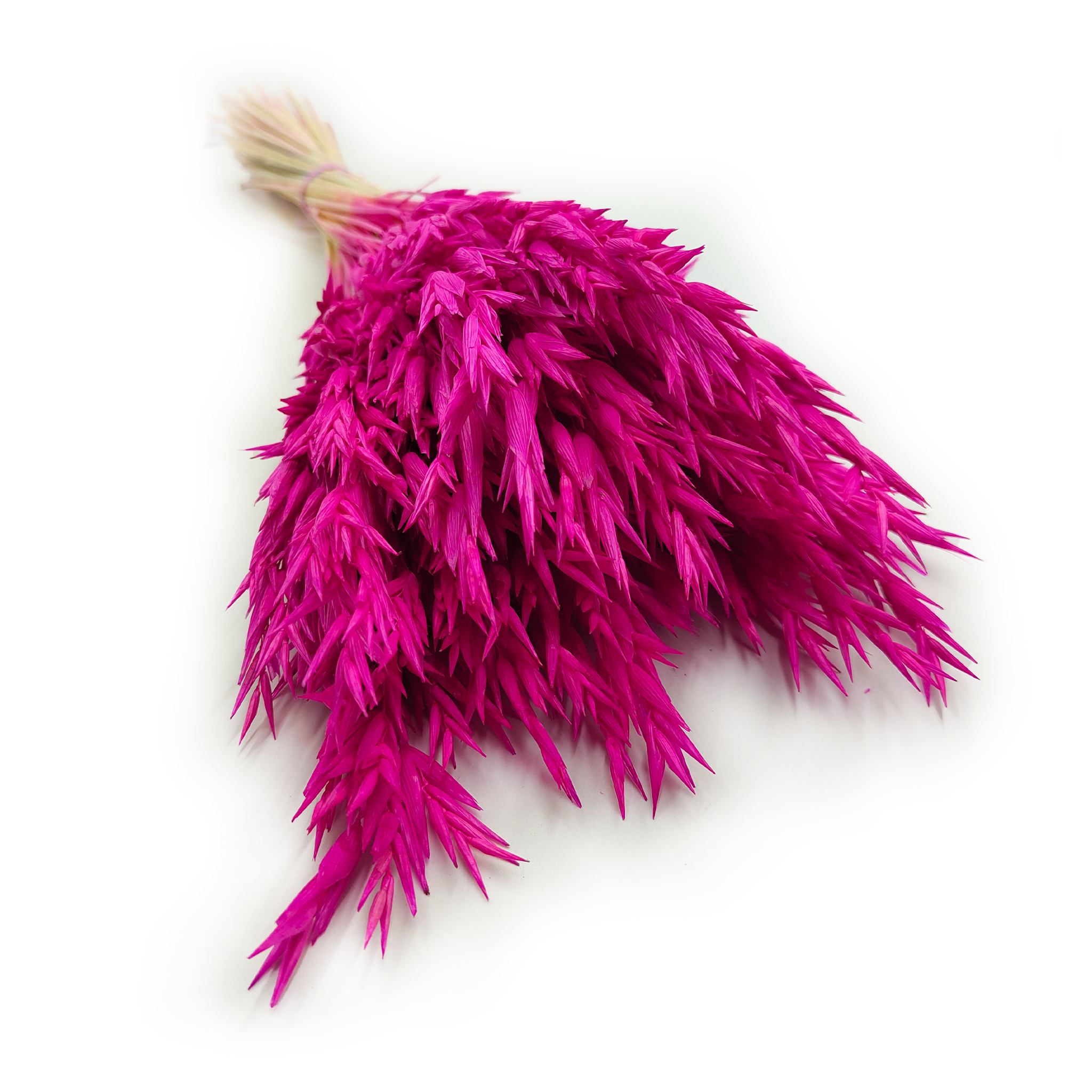 Getrocknete Gerste – Amaranth