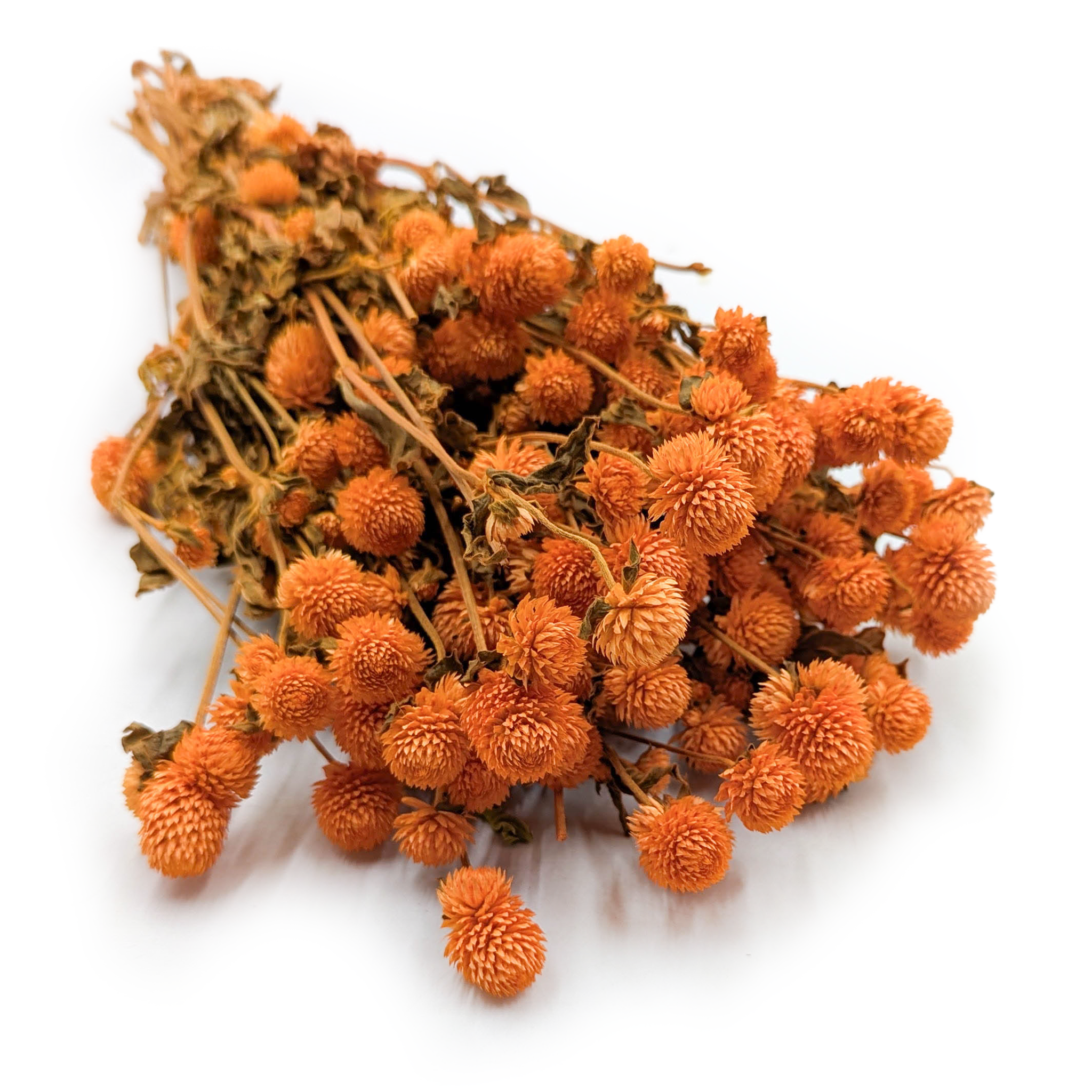 Kugelamaranth Getrocknete - (Gomphrena Globosa) - Orange